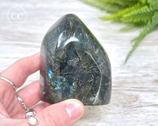 Labradorite Freeform #12