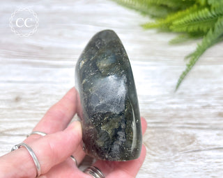 Labradorite Freeform #12