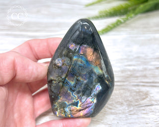 Labradorite Freeform #23