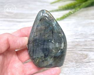 Labradorite Freeform #23