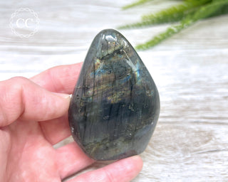 Labradorite Freeform #23