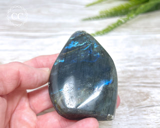 Labradorite Freeform #23