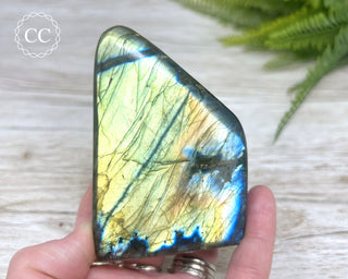 Labradorite Freeform #13