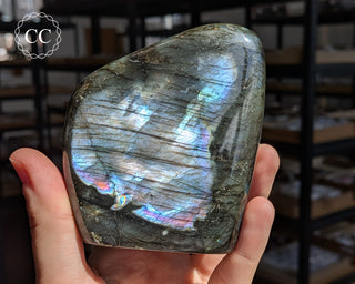 Labradorite Freeform #8
