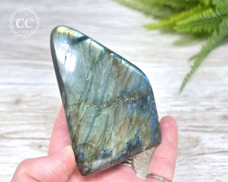 Labradorite Freeform #13