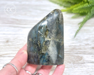 Labradorite Freeform #13