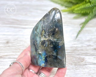 Labradorite Freeform #13