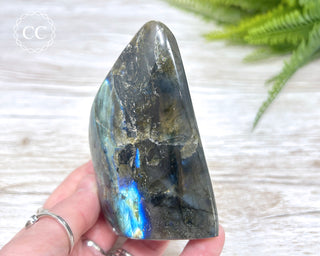 Labradorite Freeform #13