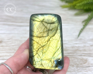 Labradorite Freeform #14