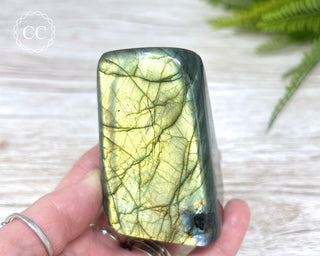 Labradorite Freeform #14