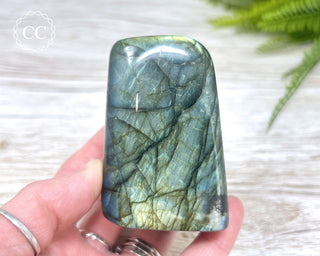 Labradorite Freeform #14