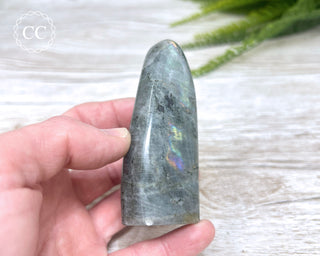 Labradorite Freeform #25