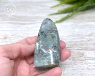 Labradorite Freeform #25