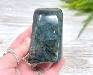 Labradorite Freeform #14