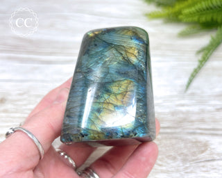 Labradorite Freeform #14