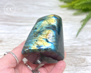 Labradorite Freeform #14