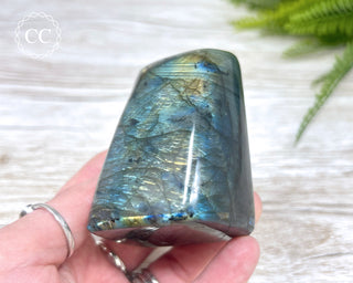 Labradorite Freeform #14
