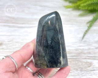 Labradorite Freeform #14