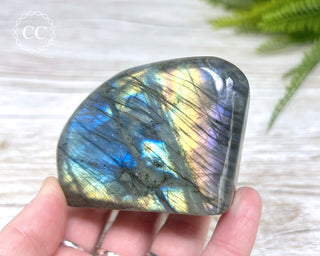 Labradorite Freeform #15