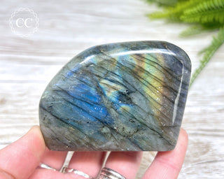 Labradorite Freeform #15