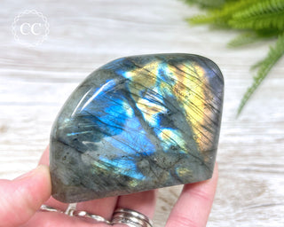 Labradorite Freeform #15