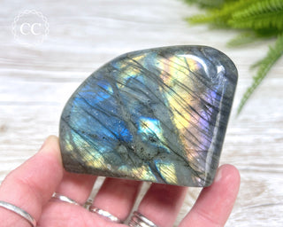 Labradorite Freeform #15