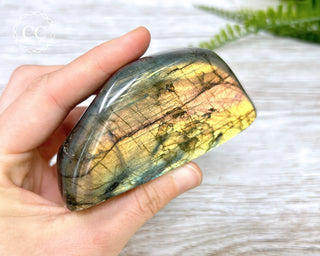 Labradorite Freeform #19