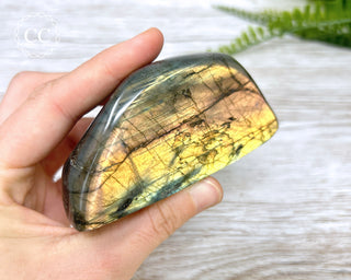 Labradorite Freeform #19