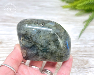Labradorite Freeform #15