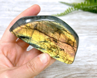 Labradorite Freeform #19