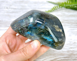 Labradorite Freeform #19