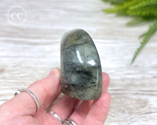 Labradorite Freeform #15