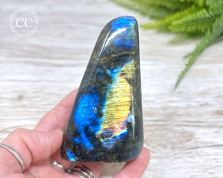 Labradorite Freeform #16