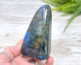 Labradorite Freeform #16