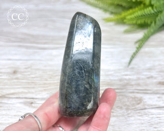 Labradorite Freeform #16