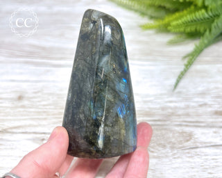 Labradorite Freeform #16