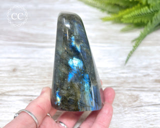 Labradorite Freeform #16