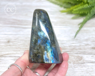 Labradorite Freeform #16