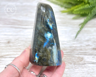 Labradorite Freeform #16