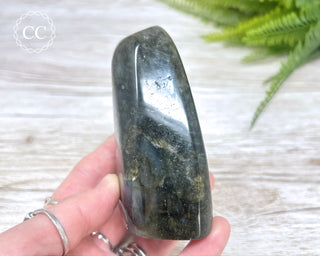Labradorite Freeform #16