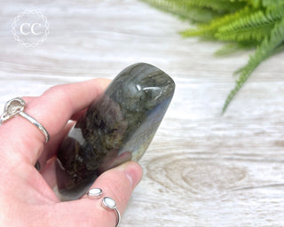 Labradorite Freeform #16