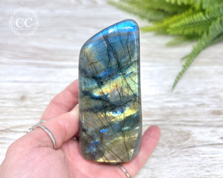 Labradorite Freeform #17