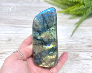 Labradorite Freeform #17