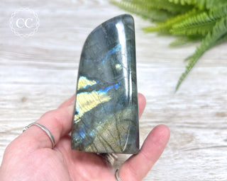 Labradorite Freeform #17