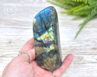 Labradorite Freeform #17