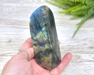 Labradorite Freeform #17