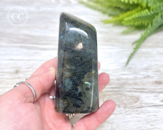 Labradorite Freeform #17