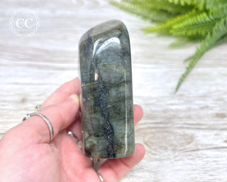 Labradorite Freeform #17