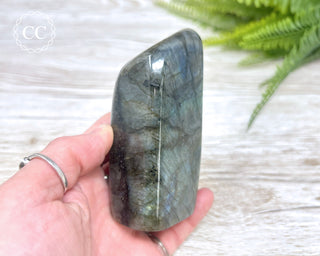 Labradorite Freeform #17