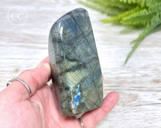 Labradorite Freeform #17